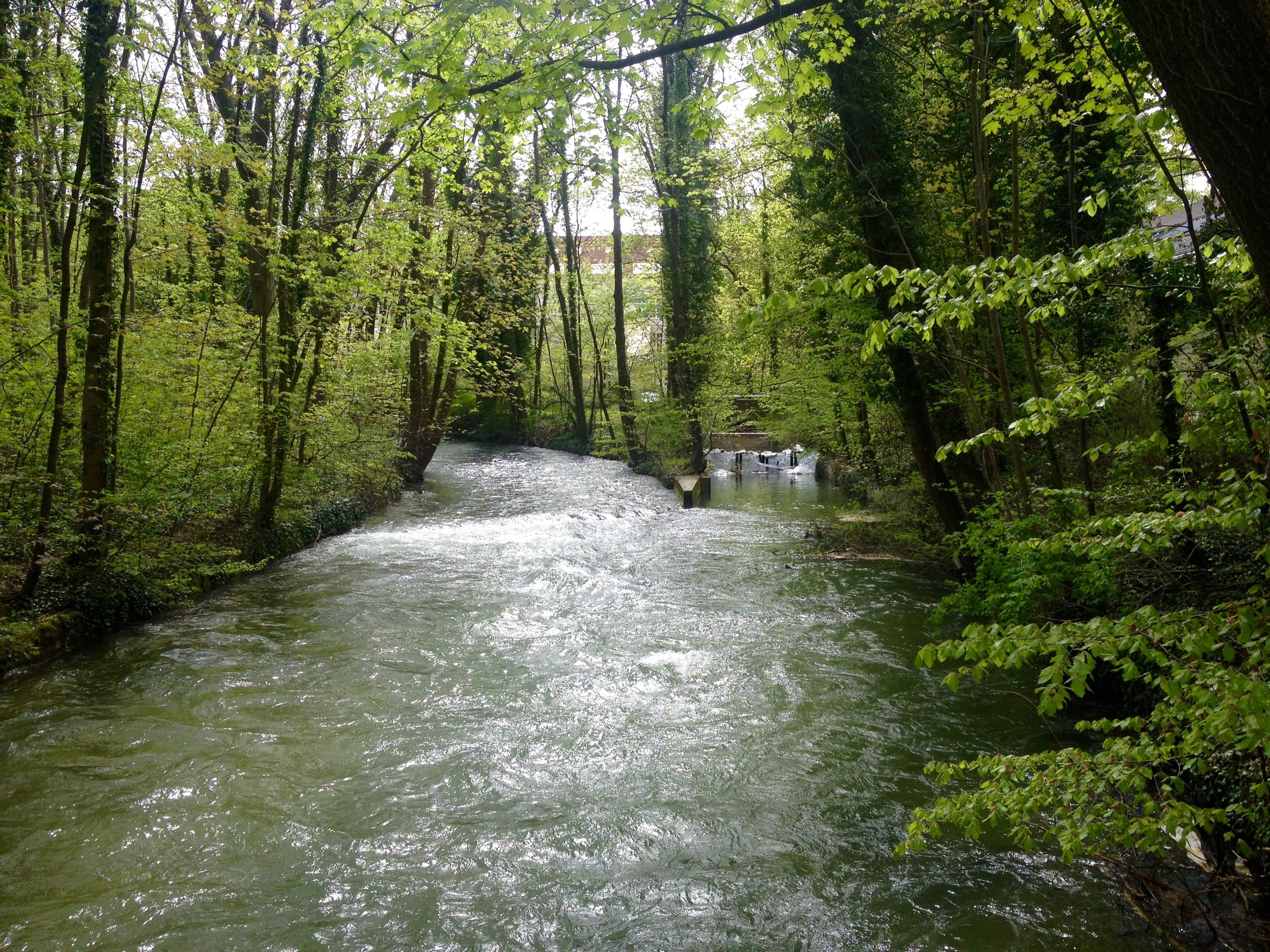 Fur Daheimgebliebene Der Norden Vom Englischen Garten Mit