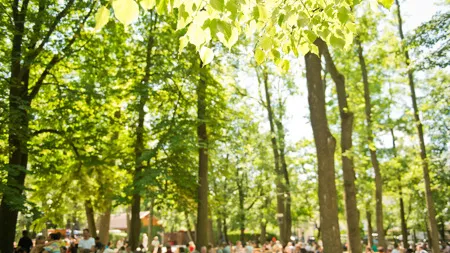 Biergarten Taxisgarten Biergärten