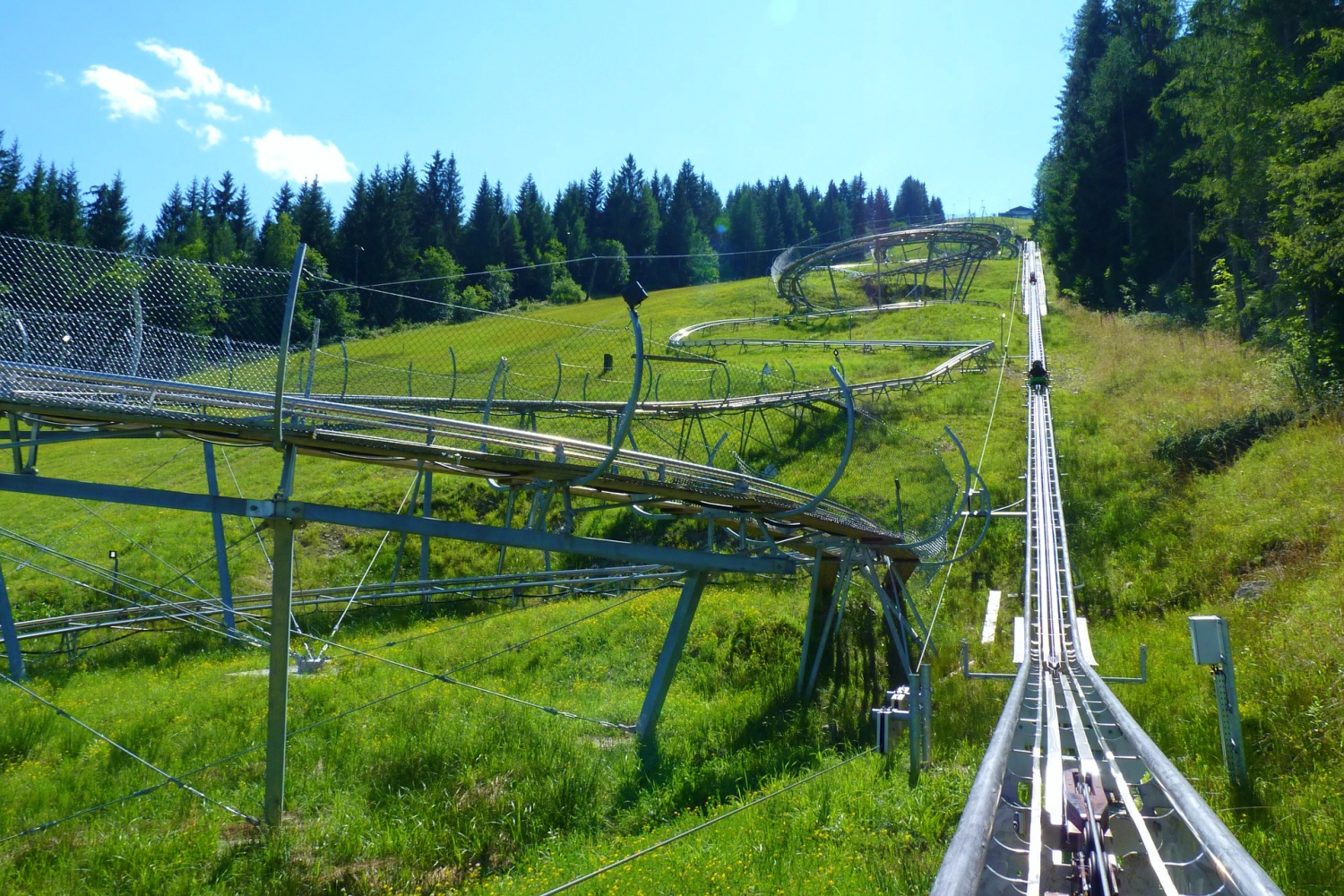 Sommerrodeln an der Blombergbahn | Mit Vergnügen München