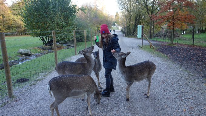 Ausflugsvergnügen Wildpark Poing