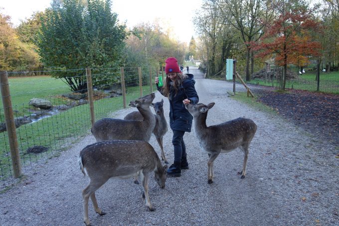 Ausflugsvergnügen Wildpark Poing