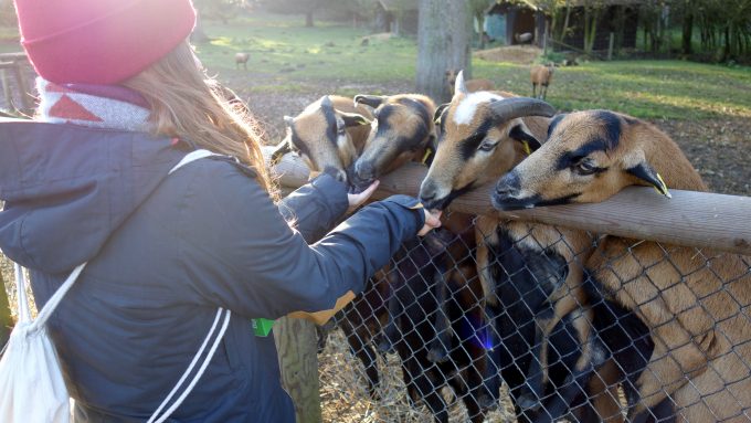 Ausflugsvergnügen Wildpark Poing