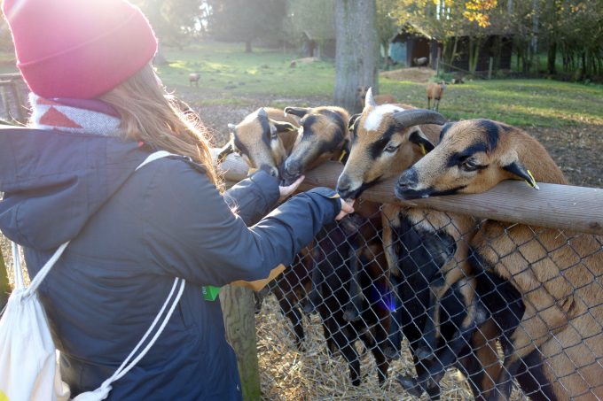 Ausflugsvergnügen Wildpark Poing