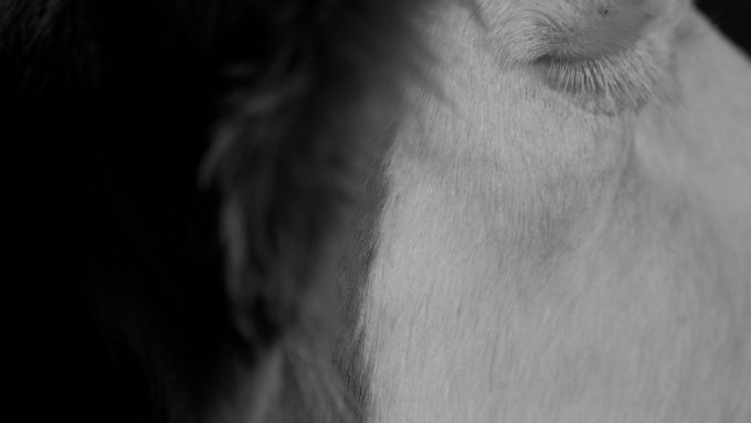 Artvergnügen Kunsttipps Februar