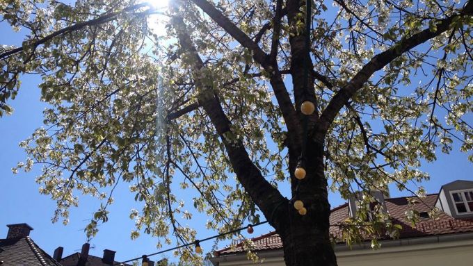 Frühling München