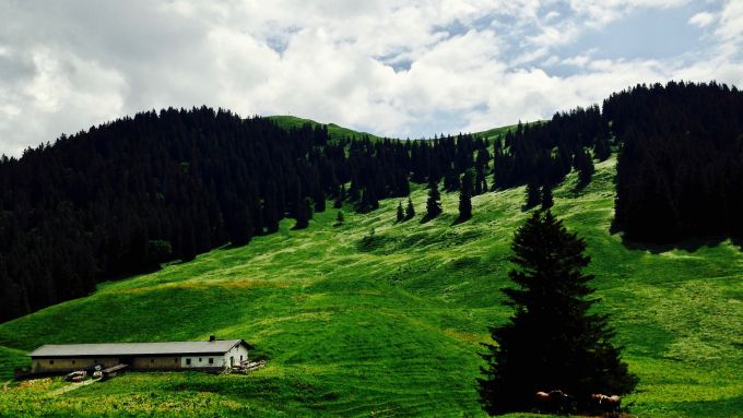 seekarkreuz mit seekaralm
