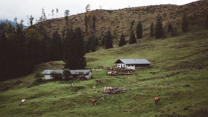 laubenstein