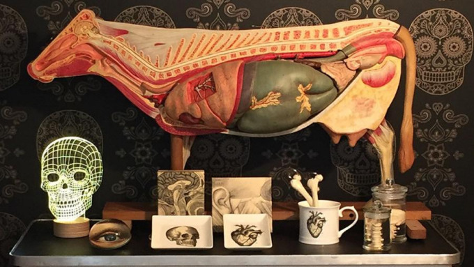Medical Art & More