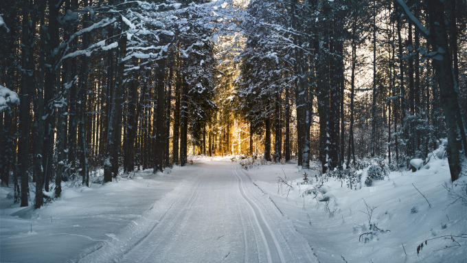Schlitten Rodeln Winter