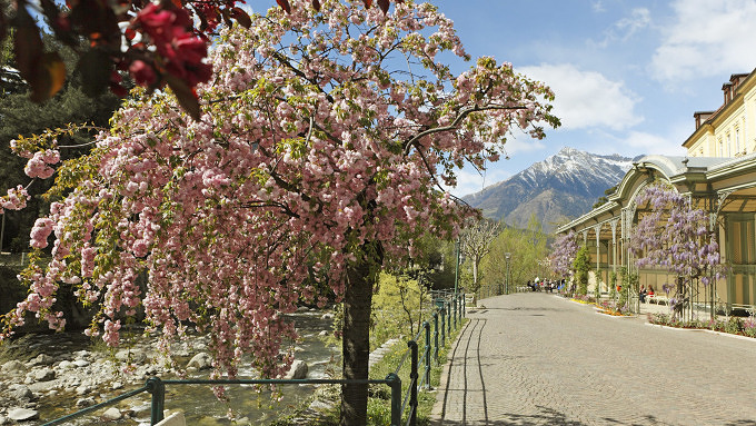 Meraner Frühling