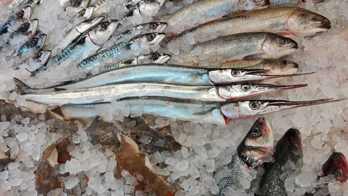 Unser Fischmarkt