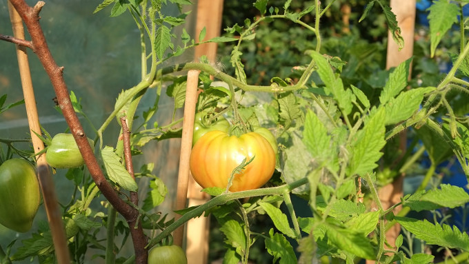 Food-Events