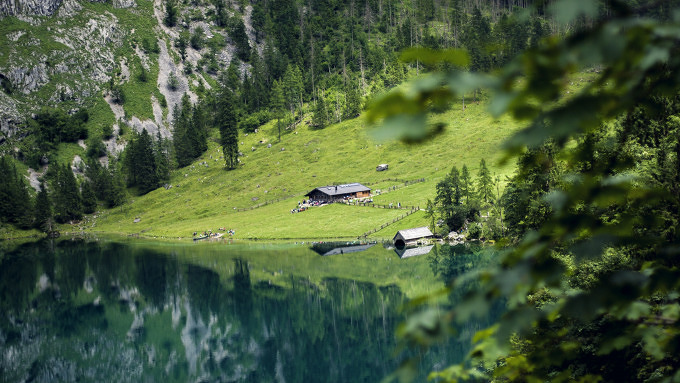 Obersee