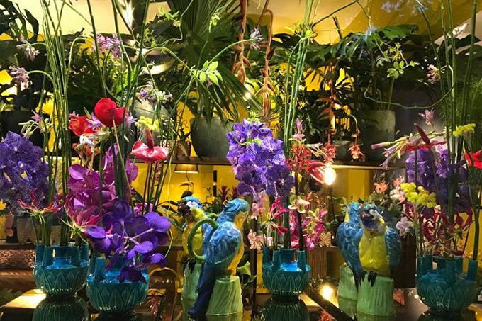 Herr Wismayer für Blumen