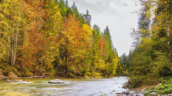Ammer Fluss