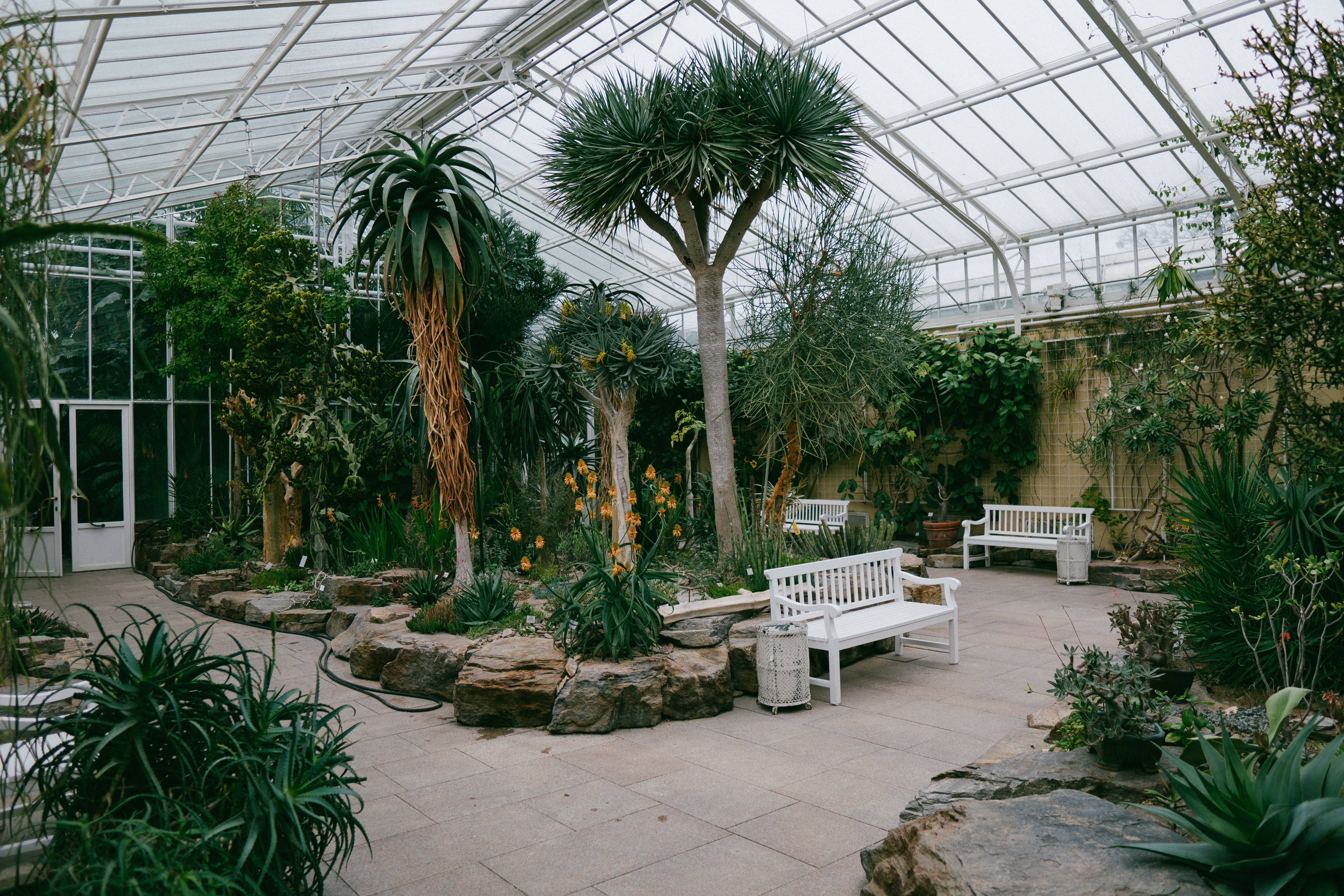 Durch Gewachshauser Wandern Im Botanischen Garten Mit Vergnugen