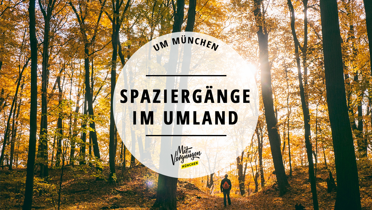 11 schöne Spaziergänge, die du im Münchner Umland machen