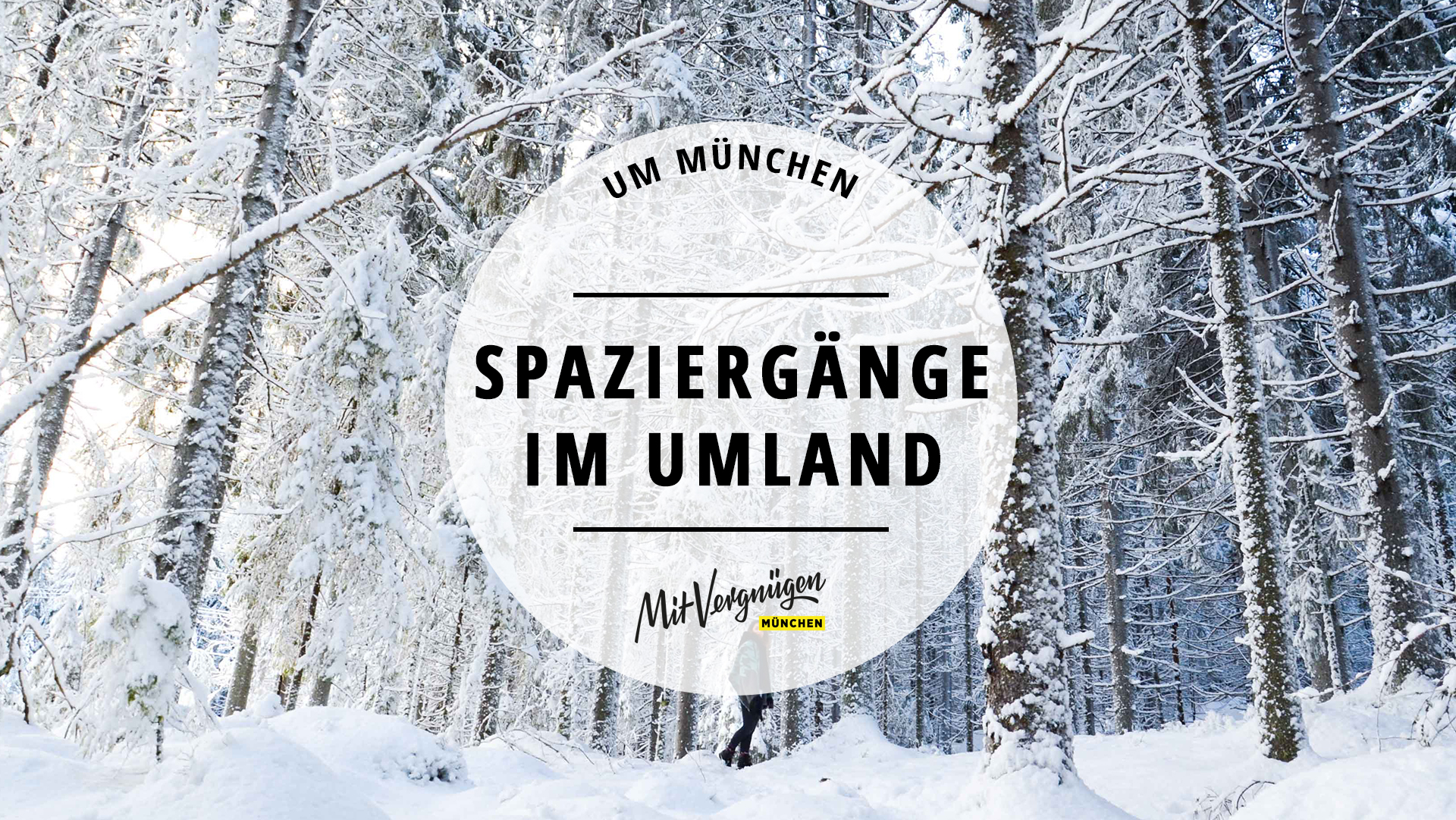 11 schöne Spaziergänge, die du im Münchner Umland machen kannst