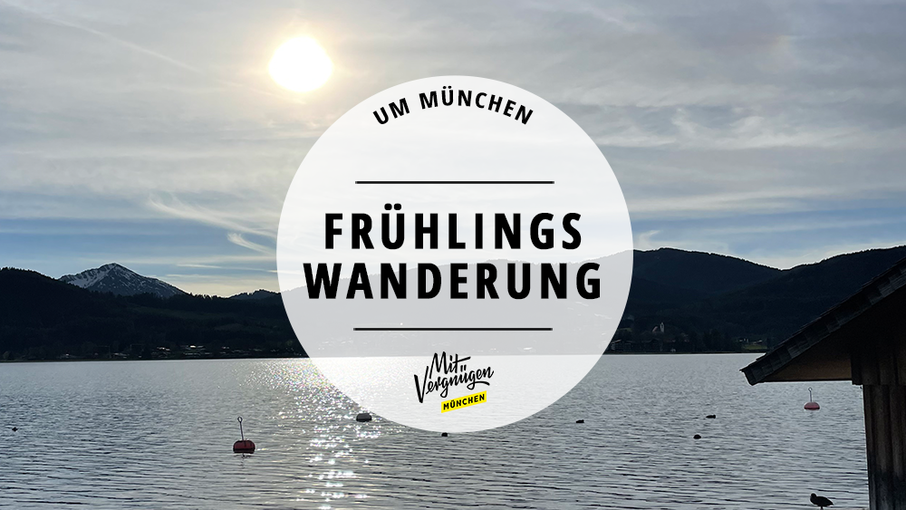 #11 schöne Frühlingswanderungen in den Münchner Hausbergen
