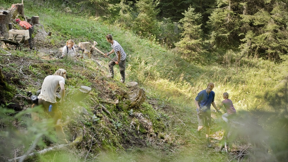 Bergwaldprojekt