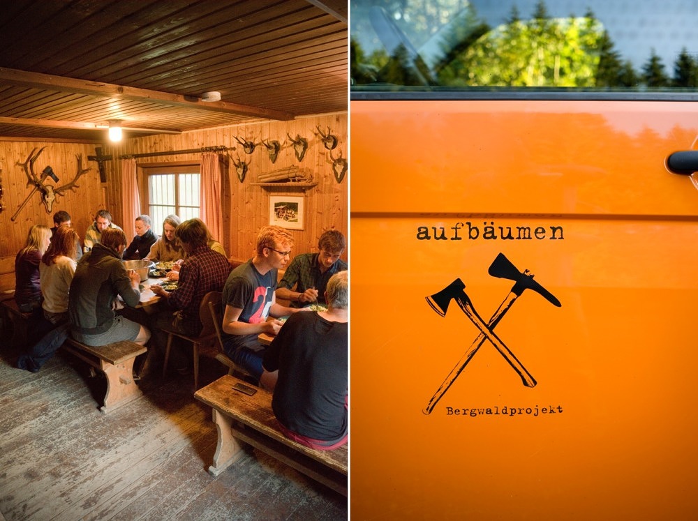 Bergwaldprojekt