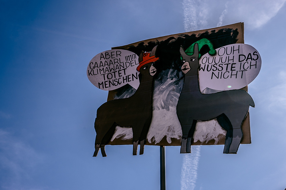Klimademo Globaler Klimastreik Königsplatz