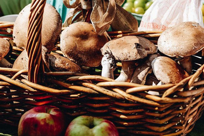 Foodsharing Initiative klimafreundlich