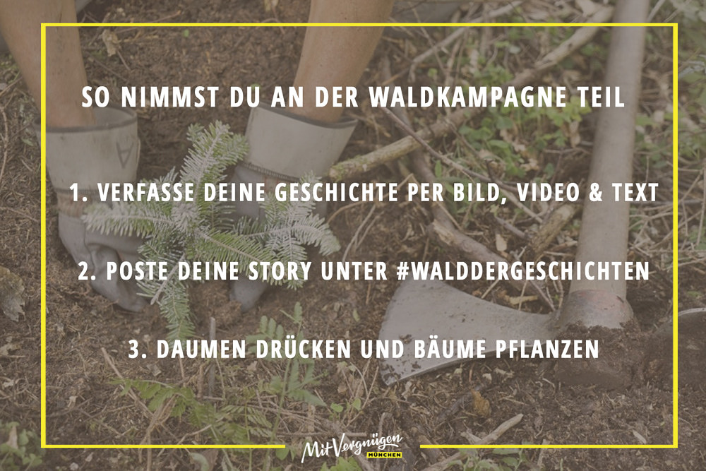 Waldkampagne Bergwaldprojekt