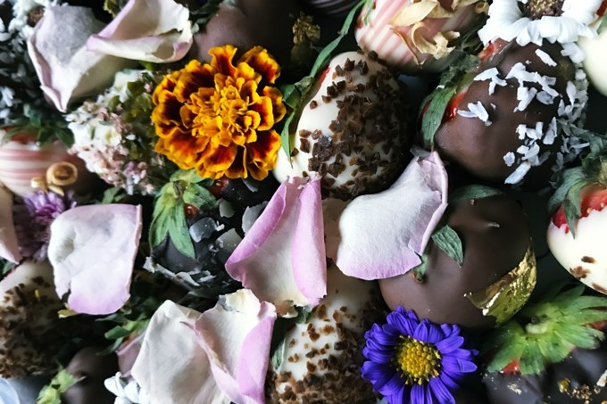 Frailice Erdbeeren Erdbeere