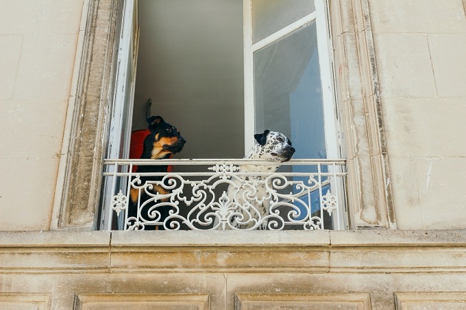 Fenster
