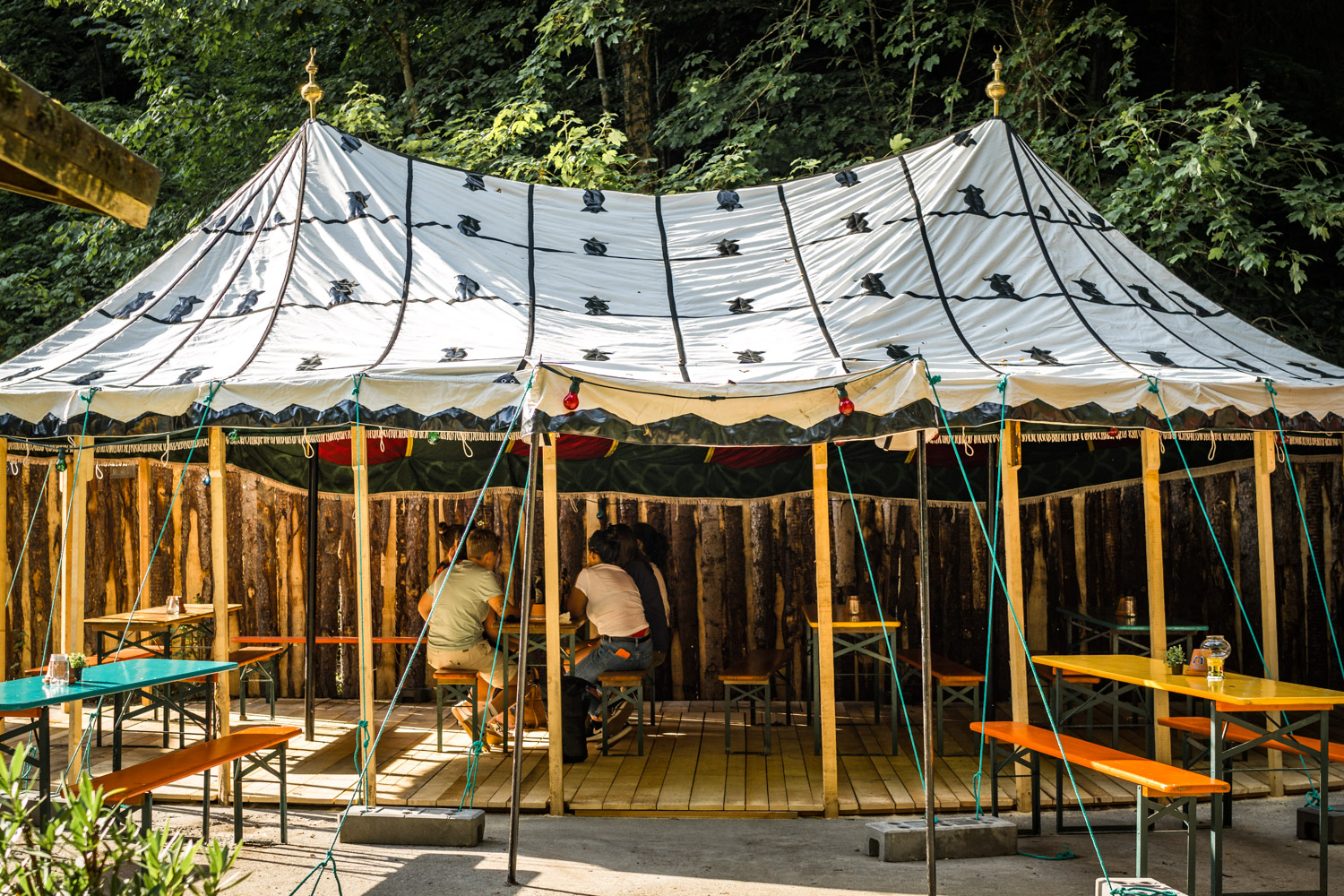 Wochenvorschau: Bibliothek der Schicksale, Gendermedizin und Waldschlucht-Festival
