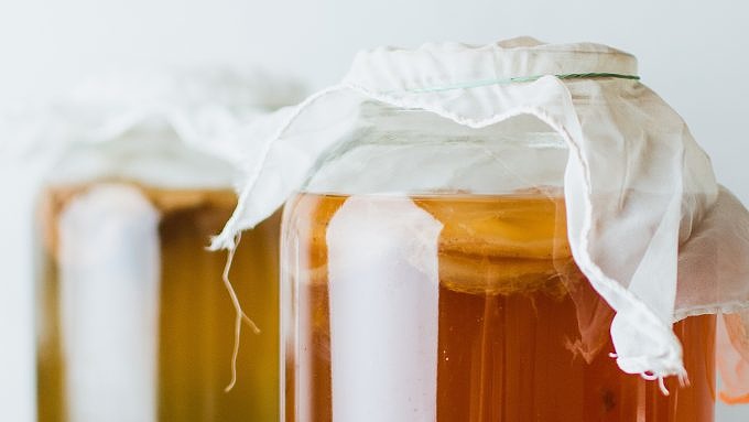 Kombucha Bio Selbergemacht