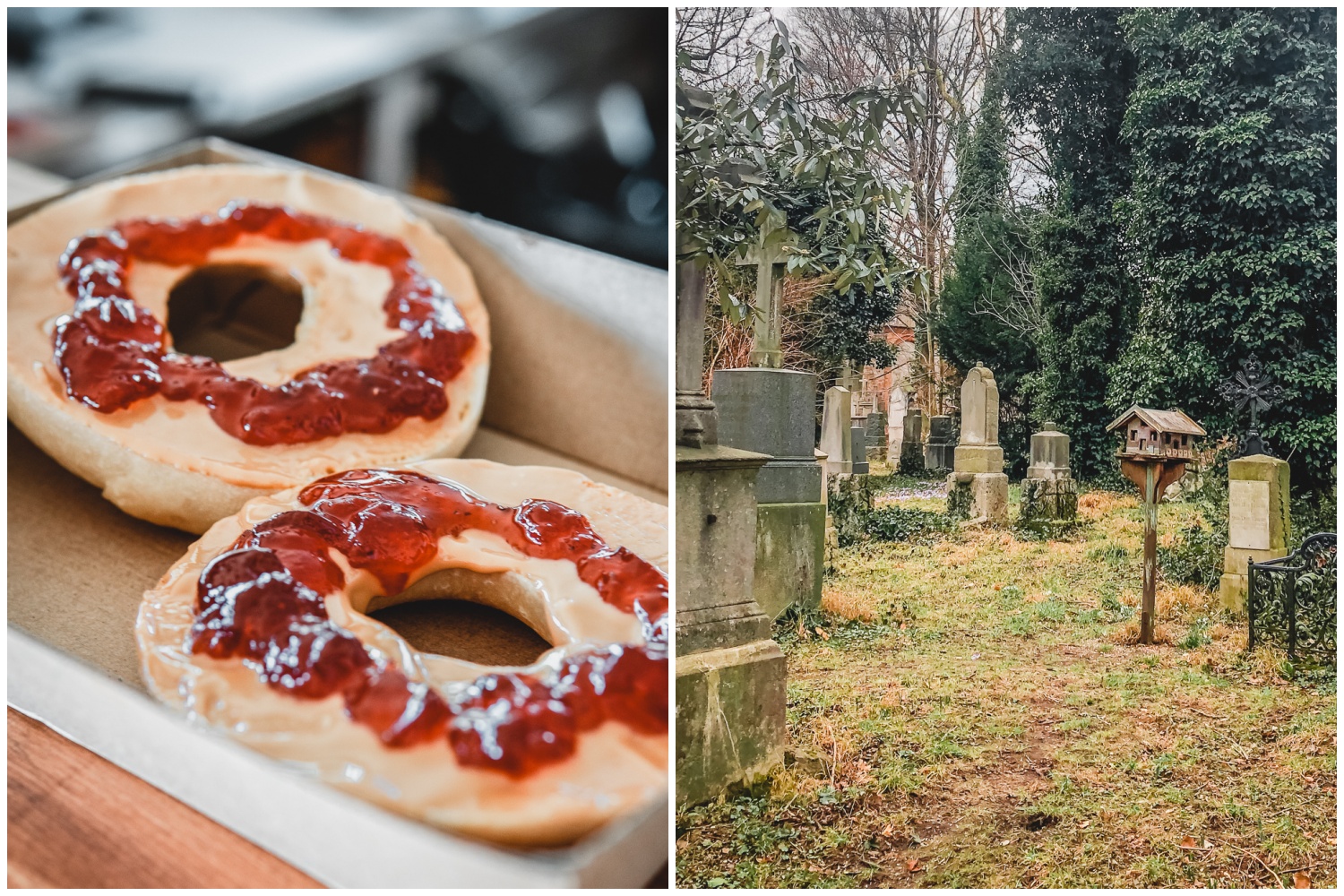Mit Snacks aus dem Fresh Bagels & Muffins im Alten Nordfriedhof