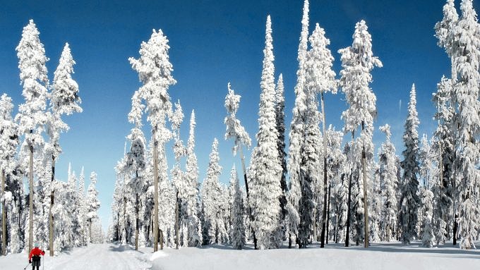 Langlaufen im Winter