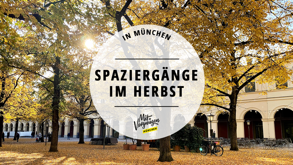 #11 schöne Herbst-Spaziergänge, die ihr in München machen könnt