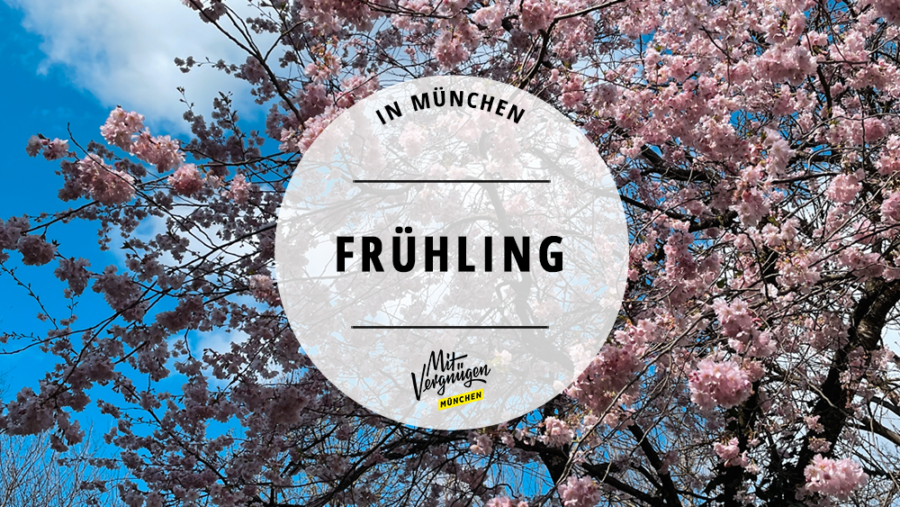 #11 schöne Dinge, die ihr im Frühling 2024 in München machen könnt